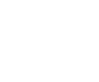 Stonewall Çeşitlilik Şampiyonu